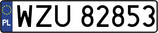 WZU82853