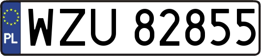 WZU82855