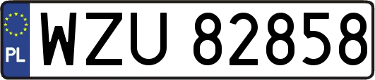 WZU82858