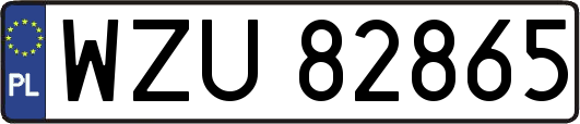 WZU82865