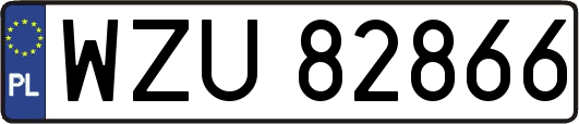 WZU82866