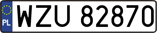 WZU82870