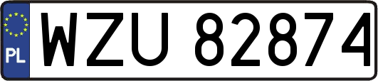 WZU82874