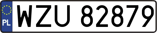 WZU82879