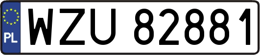 WZU82881