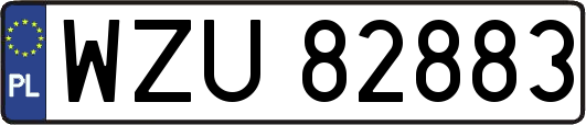 WZU82883