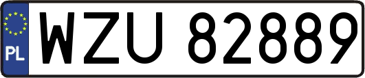 WZU82889