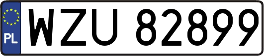 WZU82899