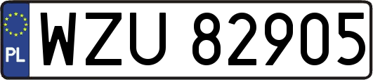 WZU82905