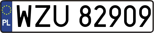 WZU82909