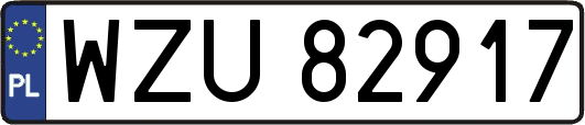 WZU82917