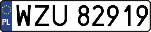 WZU82919