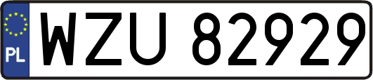 WZU82929