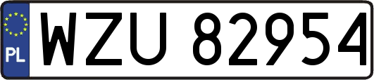 WZU82954