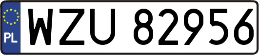 WZU82956