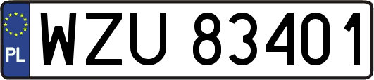WZU83401