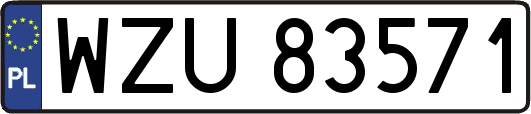 WZU83571