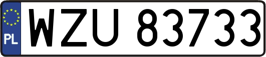 WZU83733