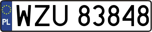 WZU83848