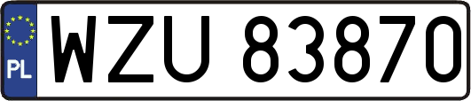 WZU83870