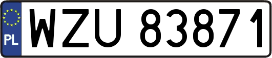 WZU83871