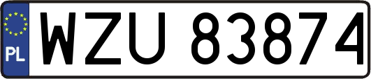 WZU83874