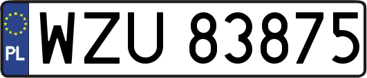 WZU83875
