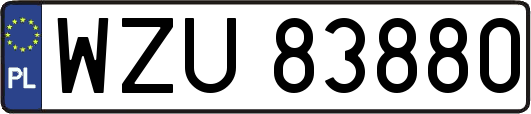 WZU83880