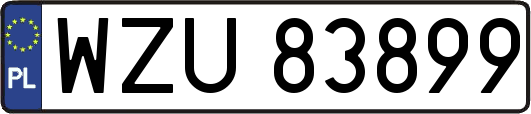 WZU83899