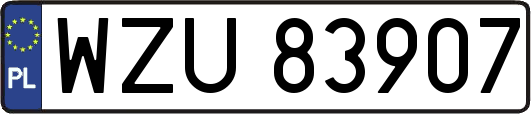 WZU83907