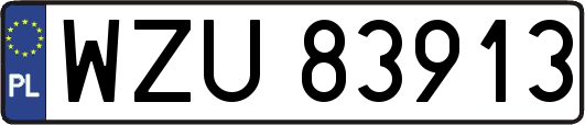 WZU83913