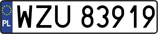 WZU83919