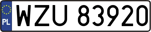 WZU83920