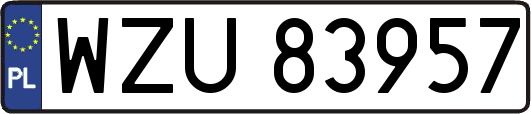 WZU83957
