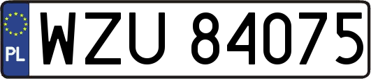 WZU84075