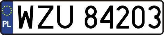 WZU84203