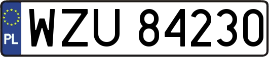 WZU84230