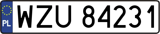 WZU84231
