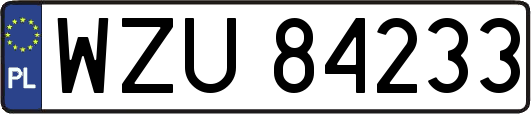 WZU84233