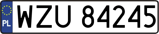 WZU84245