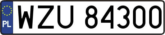 WZU84300