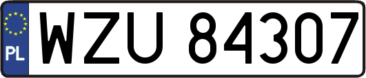 WZU84307