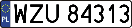 WZU84313