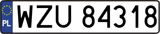 WZU84318