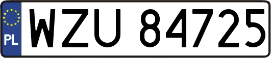 WZU84725