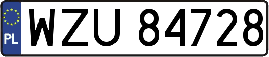 WZU84728