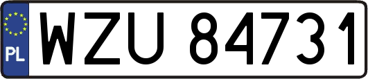 WZU84731