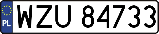 WZU84733