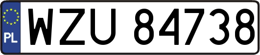 WZU84738