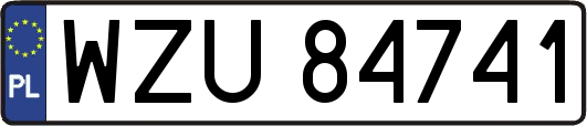 WZU84741